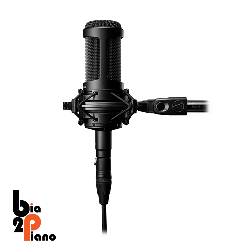 Audio-Technica AT2050