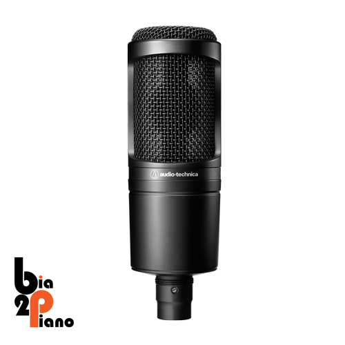 Audio-Technica AT2020