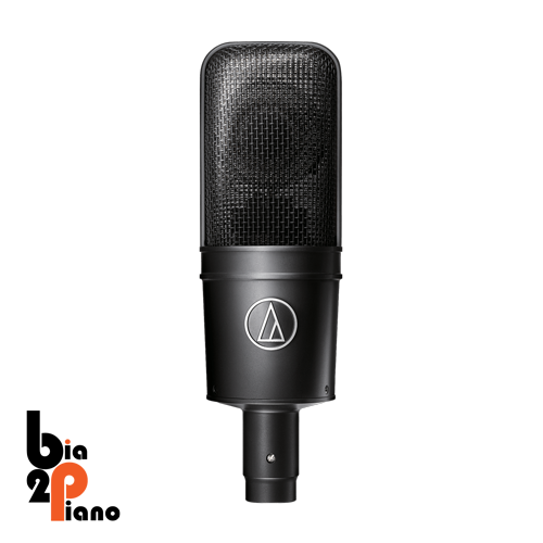 Audio Technica -AT4033ASM
