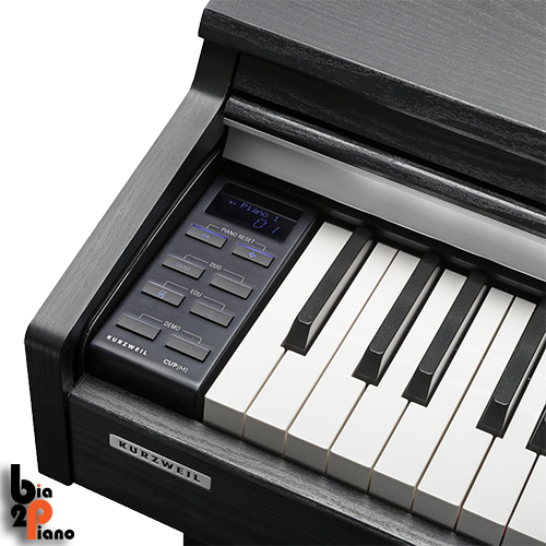 پیانو kruzweil مدل CUP M1